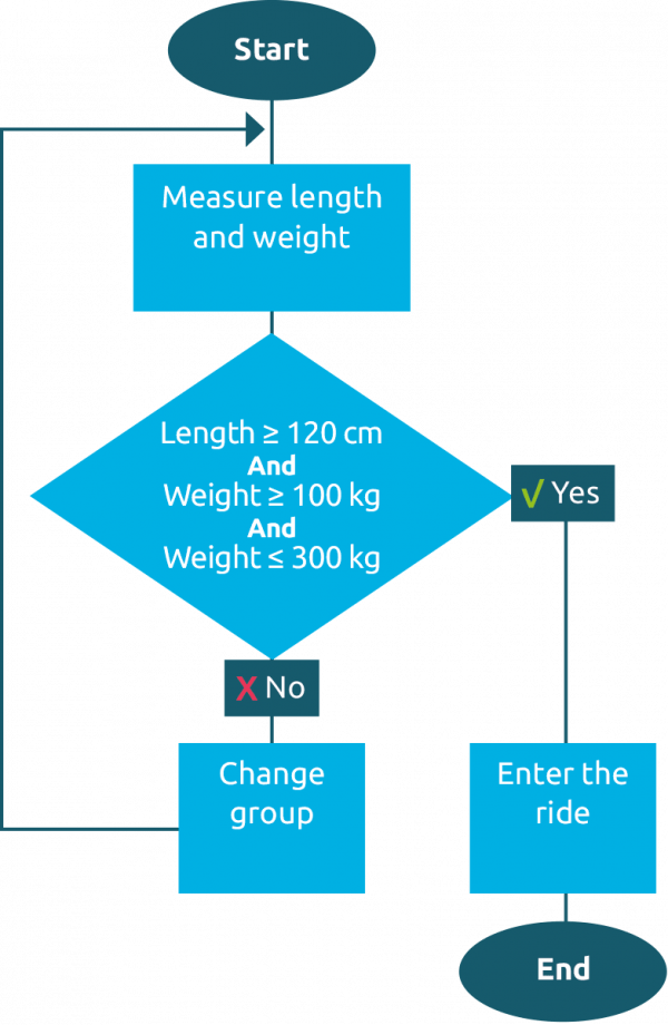 Example of a process or program flow with decision points and paths