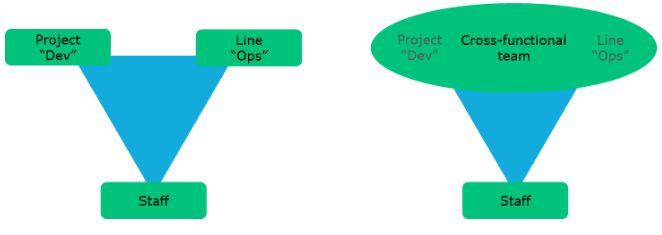 Staff organization in traditional and in high-performance organizations